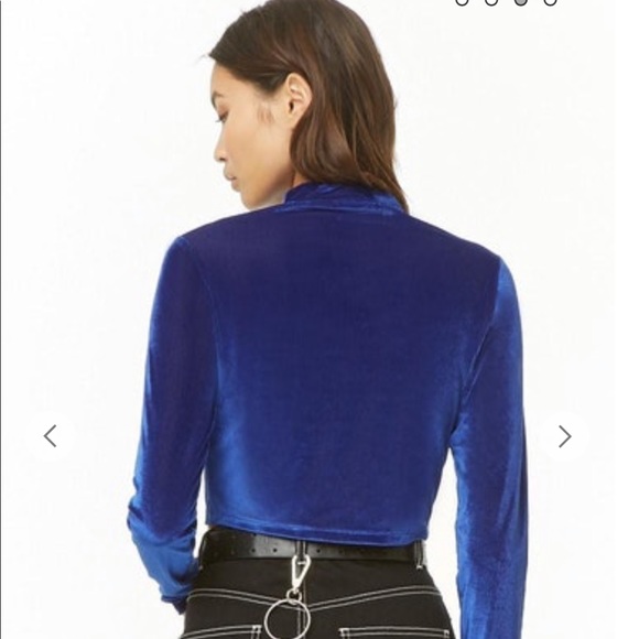 Blue Velvet Long Sleeved Crop Top, size M - Picture 3 of 6